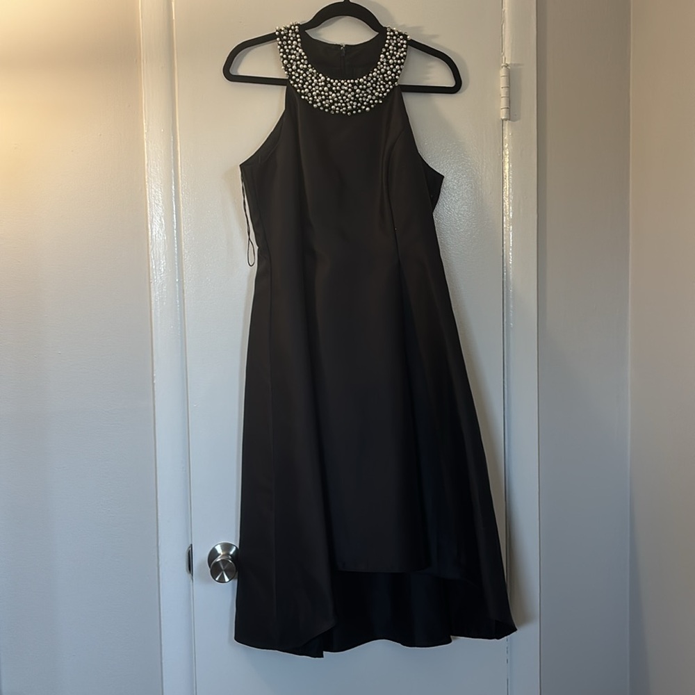 Adrianna Papell Black Backless Dress - Picture 3 of 9
